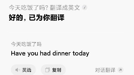 机器翻译的发展与局限在软件开发中的体现